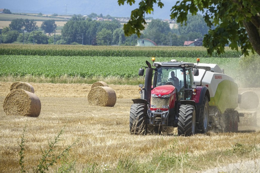 Viele Bauern mussten wegen der hohen Temperaturen und der Dürre schon früher mit ihrer Ernte beginnen.