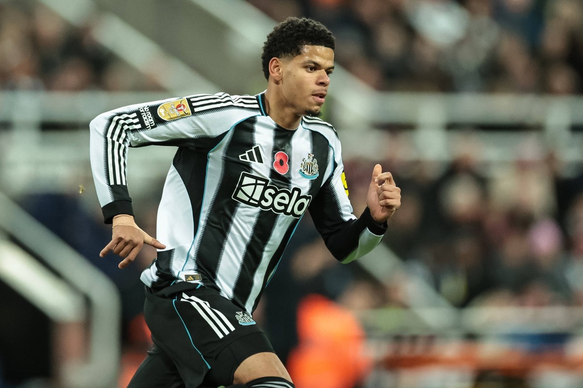 Carabao Cup Last 16 Newcastle United v Tottenham Hotspur William Osula of Newcastle Untied during the Carabao Cup Last 16 Newcastle United vs Tottenham Hotspur at St. James s Park, Newcastle, United K ...