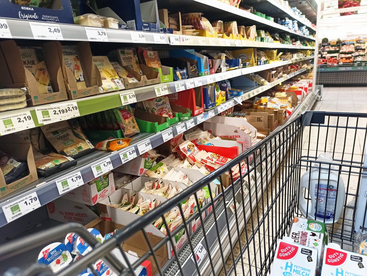 Marktkauf - Einkauf zu Zeiten von Inflation und Krieg in der Ukraine Kaese, Milchprodukte, Kaesetheke, Milchprdukte, Milchpreise, Milcherzeuger, Vergleich, Produktvergleich, Molkereien, Milcherzeuger, ...