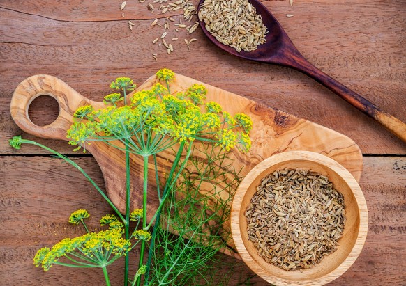 Close up blossoming branch of fennel and dried fennel seeds on rustic wooden background with flat lay.