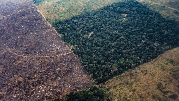 AMAZON RAINFOREST, ACRE STATE, BRAZIL - 2017/05/03: Aerial view of Amazon rainforest deforestation and farm management for livestock. Acre State, Brazil. (Photo by Ricardo Funari/Brazil Photos/LightRo ...