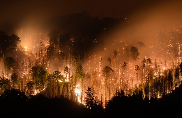 Der in Tschechien ausgebrochene Waldbrand hat nach Deutschland übergegriffen.