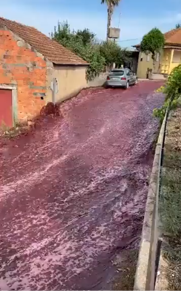 Weinflut fließt Straße in portugiesischem Dorf herunter.