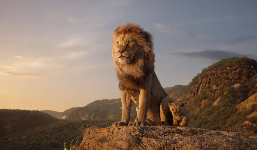 RELEASE DATE: July 19, 2019 TITLE: The Lion King STUDIO: DIRECTOR: Jon Favreau PLOT: After the murder of his father, a young lion prince flees his kingdom only to learn the true meaning of responsibil ...