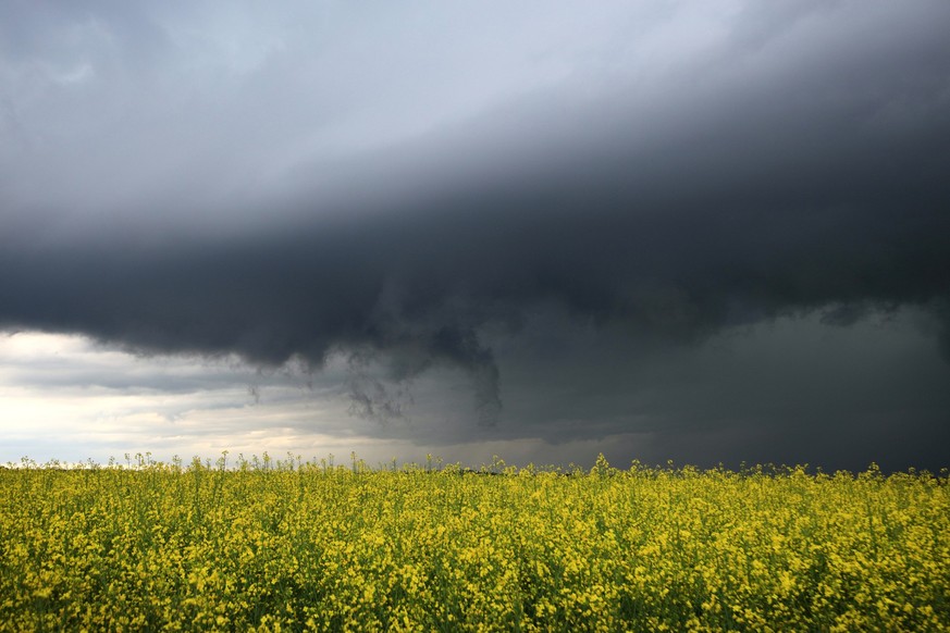 ARCHIV - 02.05.2024, Baden-Württemberg, Kirchheim am Ries: Dunkle Gewitterwolken ziehen hinter einem blühenden Rapsfeld auf. Der Deutsche Wetterdienst hat in weiten Teilen Baden-Württembergs vor schwe ...