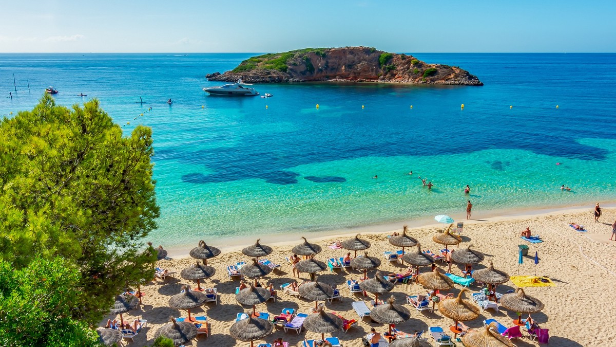 Urlaub auf Mallorca: Rekord bei Unfällen mit Haustieren