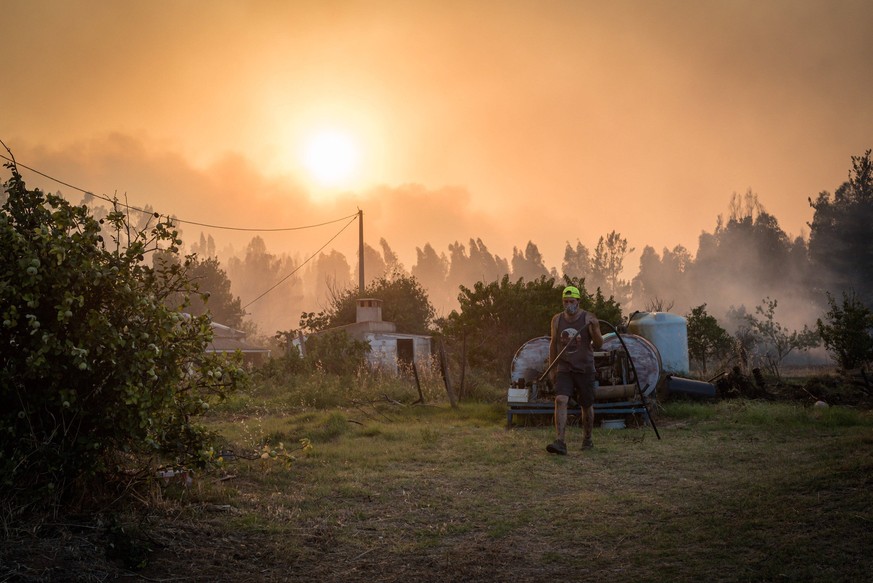 In Portugal kommt es immer wieder zu heftigen Waldbränden. 