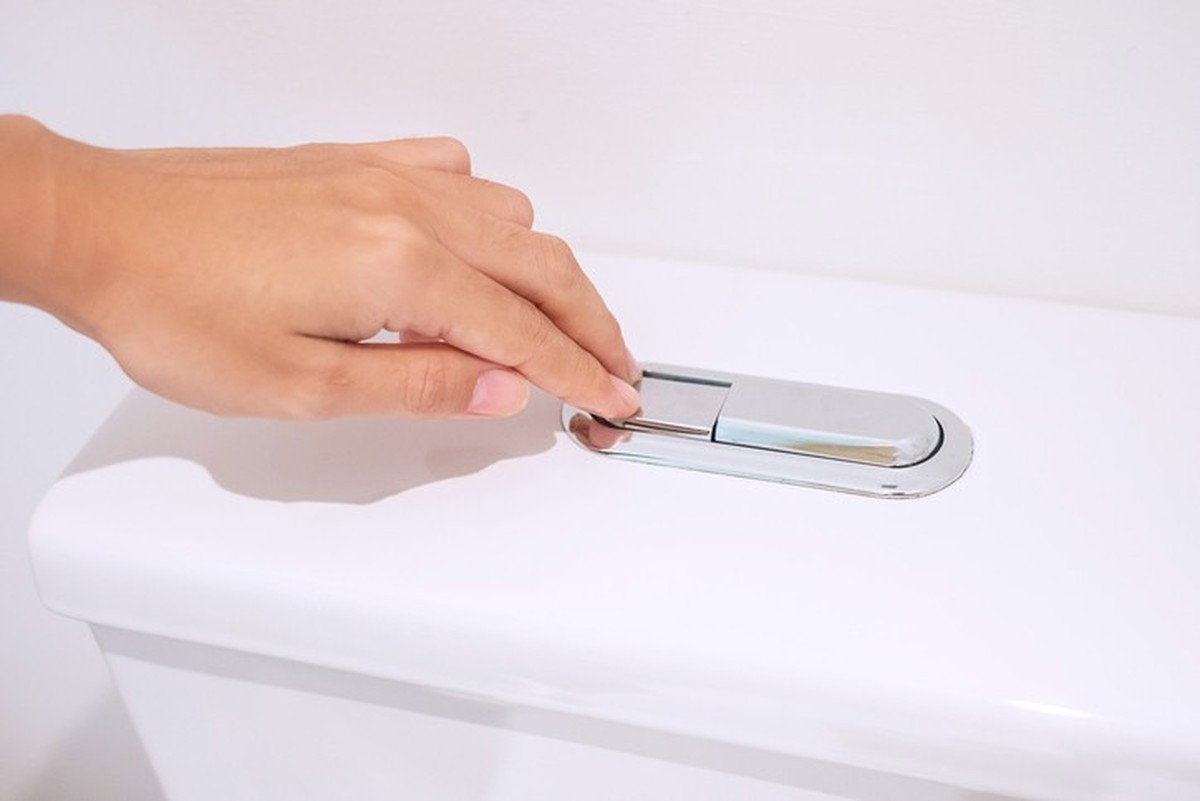 hand press and flush toilet bowl. Cleaning, Lifestyle and personal hygiene concept