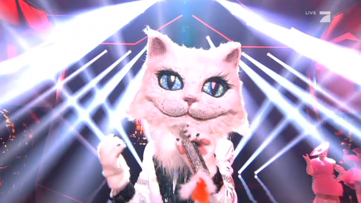 Bei der Katze tippt die Jury auf diverse Groß-Schauspielerinnen und eine Sängerin.