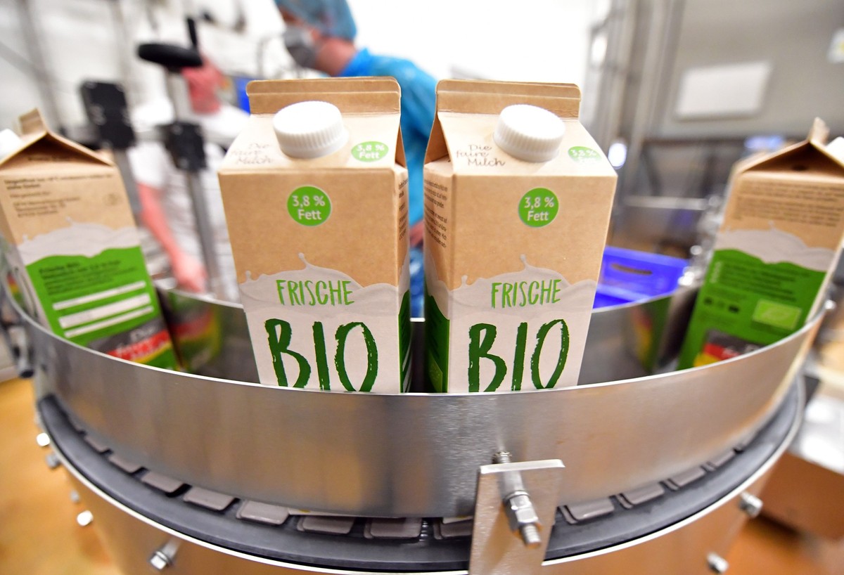 ARCHIV - 14.06.2021, Th�ringen, Rudolstadt: Frische Bio Weidemilch mit dem Label "Die Faire Milch" wird in der Herzgut Landmolkerei eG abgef�llt. (zu dpa �G�nther sieht trotz Preissteigerung ...