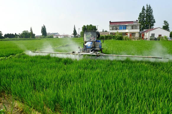 Rice Field Disease And Insect Control HUAI AN, CHINA - AUGUST 15, 2023 - Farmers drive plant protection machines in the heat to control pests and diseases in rice fields in Hai an City, Jiangsu Provin ...