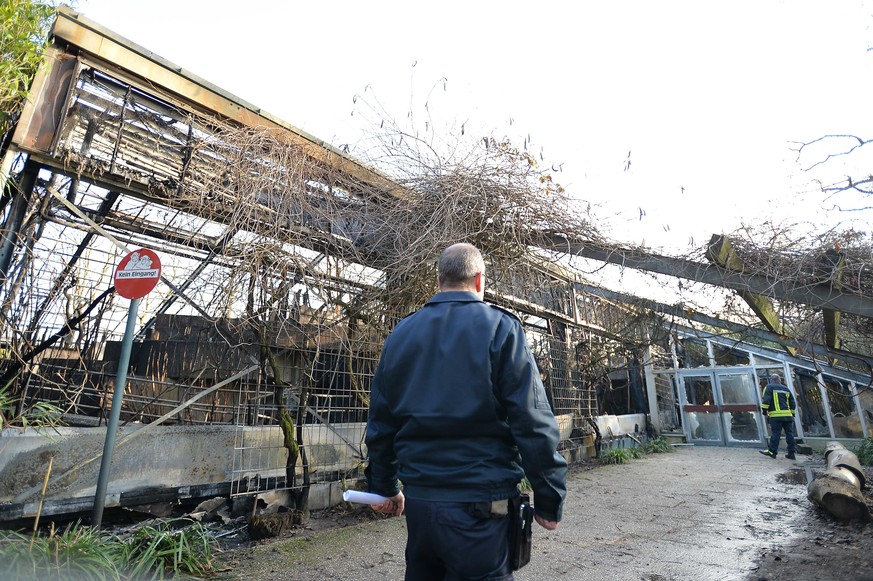 Das Affenhaus im Krefelder Zoo brannte bis auf die Grundmauern nieder.
