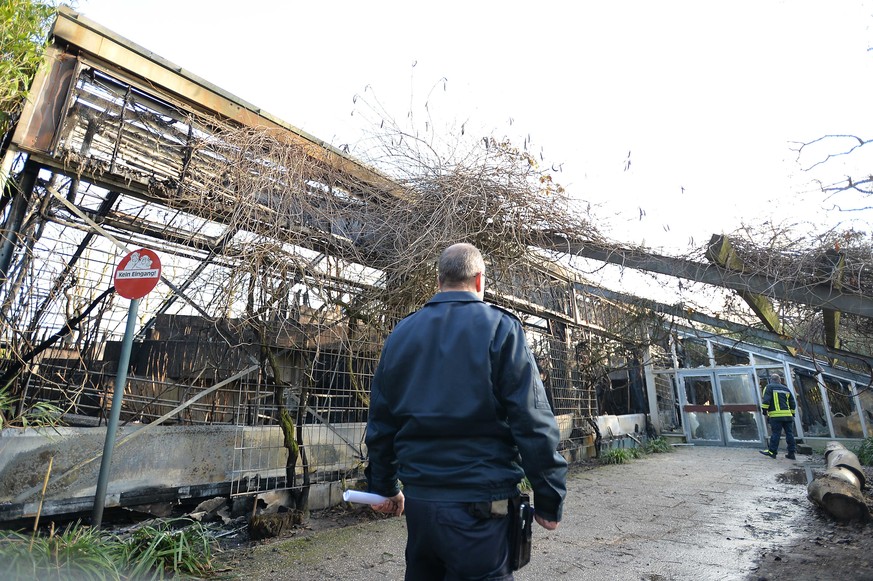 Brand In Affenhaus Von Krefelder Zoo 3 Frauen Stellen Sich