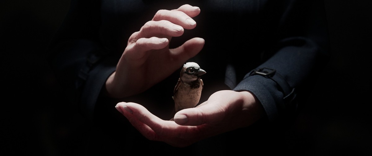 HANDOUT - 04.08.2025, NA, ---: Dieses von der Filmakademie Baden-Württemberg zur Verfügung gestellte Foto zeigt eine Szene des Kurzfilms «A Sparrow&#039;s Song». Der Animationsfilm der Filmakademie Ba ...