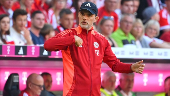 Trainer Thomas TUCHEL Bayern München, Gestik, Einzelbild,angeschnittenes Einzelmotiv,Halbfigur,halbe Figur. Fussball 1. Bundesliga Saison 2023/2024, 33.Spieltag, Spieltag33, FC Bayern München - VFL ...