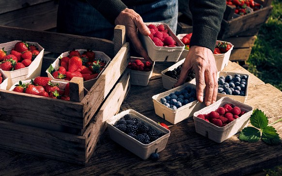 Bund und lecker: Die heimischen Obstsorten überzeugen vor allem durch ihren intensiven Geschmack und ein herausragendes Aroma. Bildquelle: REWE Group