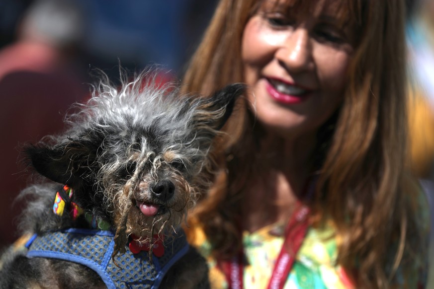 PETALUMA, CALIFORNIA - JUNE 21: Yvonne Morones holds her dog Scamp the Tramp before the start of the World&#039;s Ugliest Dog contest at the Marin-Sonoma County Fair on June 21, 2019 in Petaluma, Cali ...