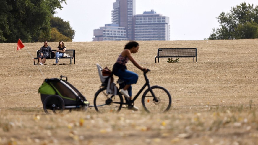 In Köln hat der trockene Hitze-Sommer besonders viele Grünanlagen verdorren lassen. Bäume verlieren bereits ihre Blätter im Sommer, Wiesenflächen sind ausgedorrt. Wegen der großflächigen Bodenversiege ...