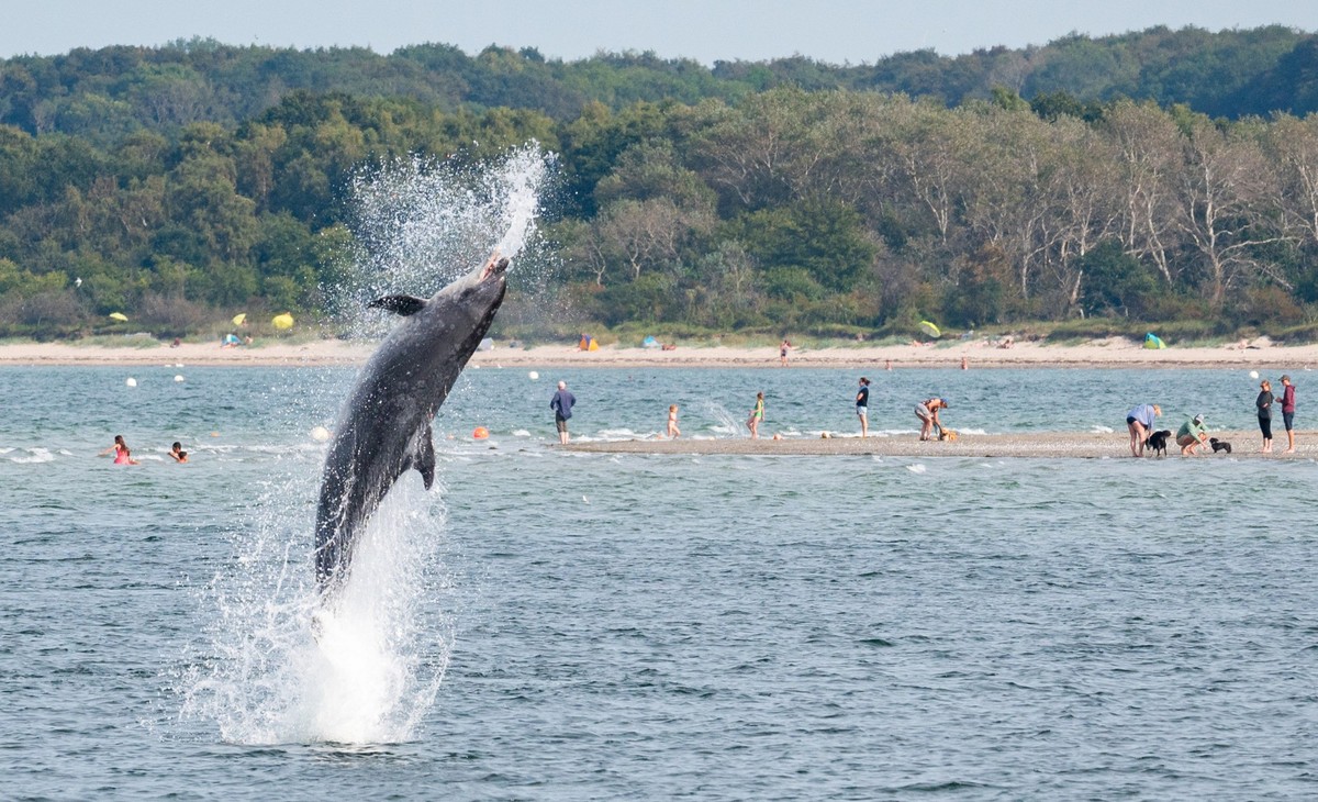 dpatopbilder - 17.09.2023, Schleswig-Holstein, Travem