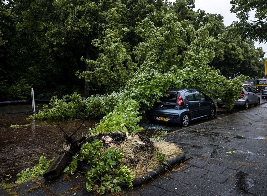 05.07.2023, Niederlande, Haarlem: Ein umgestürzter Baum auf einem Auto auf der Zaanenlaan. Wegen eines Unwetters gibt es in den Niederlanden massive Verkehrsbehinderungen. Die Eisenbahnen stellten den ...