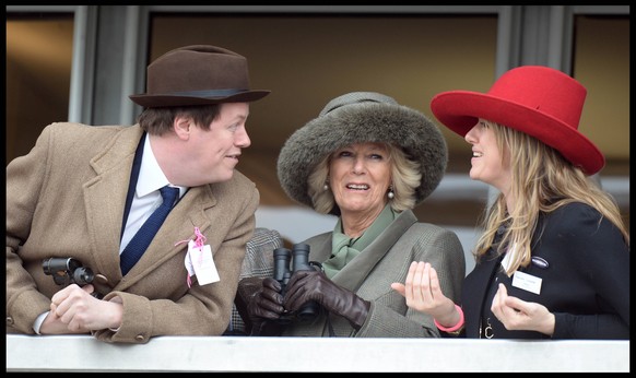 . 11/03/2015. Cheltenham, United Kingdom. Camilla, Duchess of Cornwall watching the first race with her son Tom Parker Bowles attends day 2 of the Cheltenham Festival. PUBLICATIONxINxGERxSUIxAUTxHUNxO ...