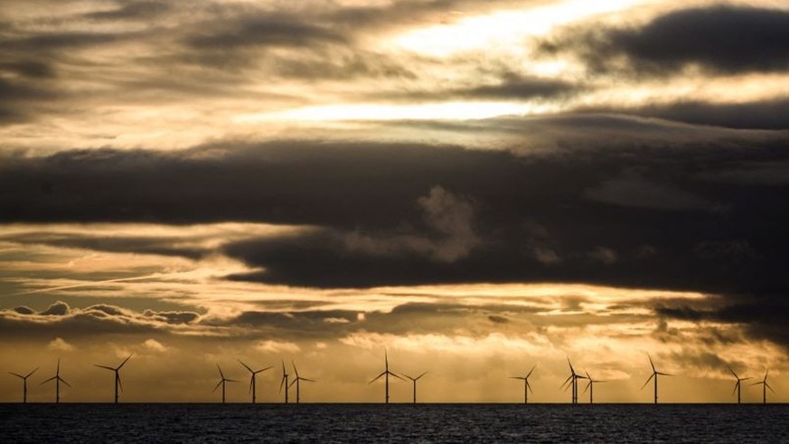 Nederland verslikt windturbines voor trekvogels
