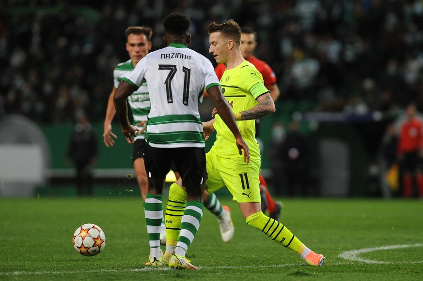 Fußball: Champions League, Sporting Lissabon - Borussia Dortmund, Gruppenphase, Gruppe C, 5. Spieltag, Estádio José Alvalade XXI. Marco Reus (r) von Dortmund im Duell um den Ball mit Flavio Nazinho (7 ...