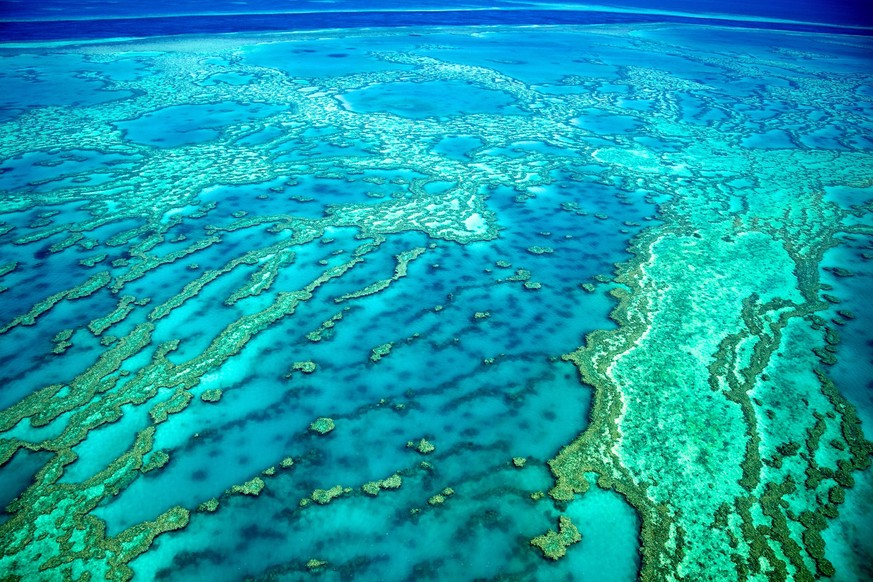 Das Great Barrier Reef in Australien ist sogar vom Weltraum aus zu sehen.