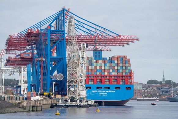 Stadtansicht - Containerschiff Cosco Shipping Capricorn am Containerterminal Tollerort - HHLA Hamburger Hafen und Logistik AG Tollerort CTT Blick von S�d nach Nord - Container Weltwirtschaft Welthande ...