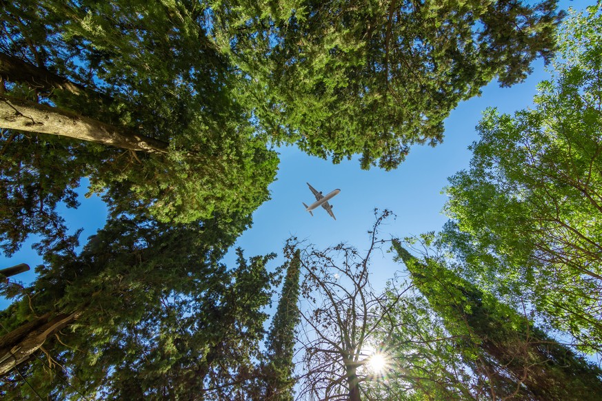 Über den Wolken mithilfe von Speiseöl: Der Testflug mit Biosprit war erfolgreich (Symbolbild).