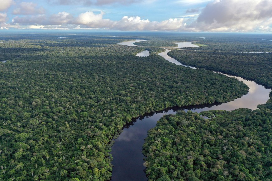 The Amazon river is the world's biggest river.