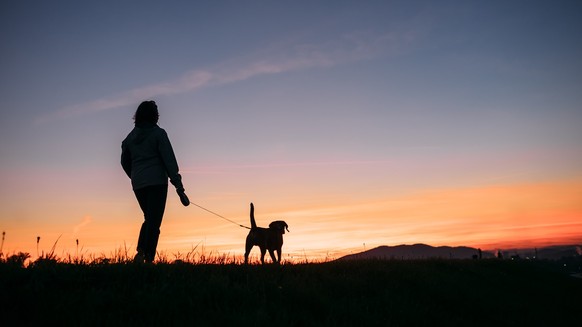 Hund müssen jeden Tag raus, auch abends. Wer keinen Hund hat, kann dem Nachbarn bei der Gassi-Runde helfen.