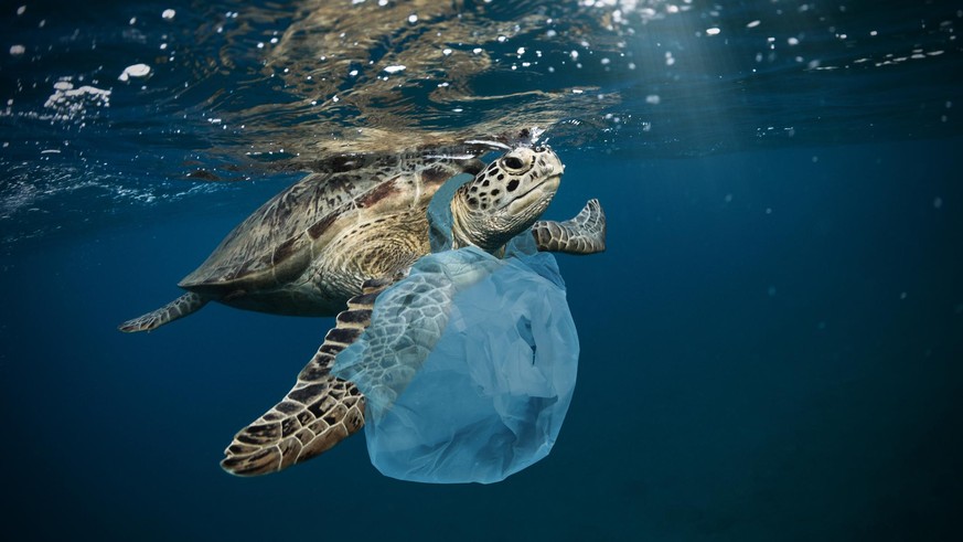 Memerangi sampah plastik: kesepakatan global semakin dekat