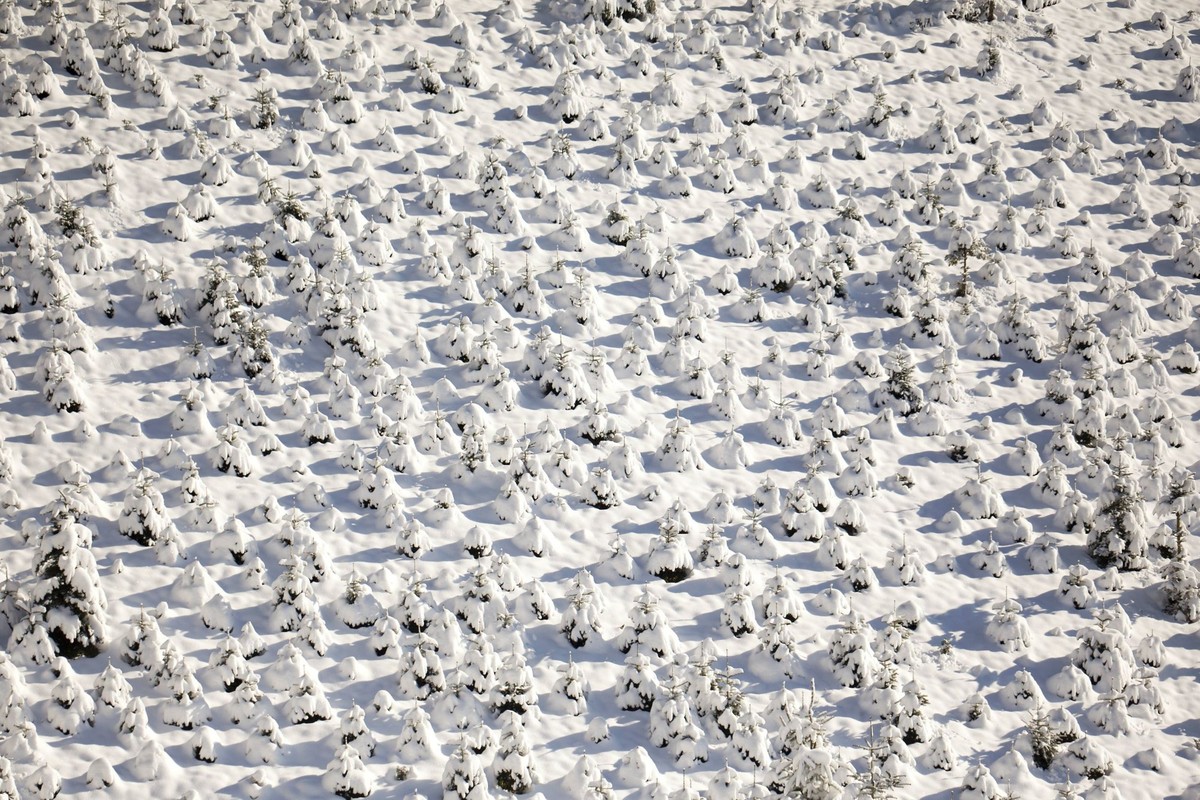 Schuttertal Schwarzwald Winter