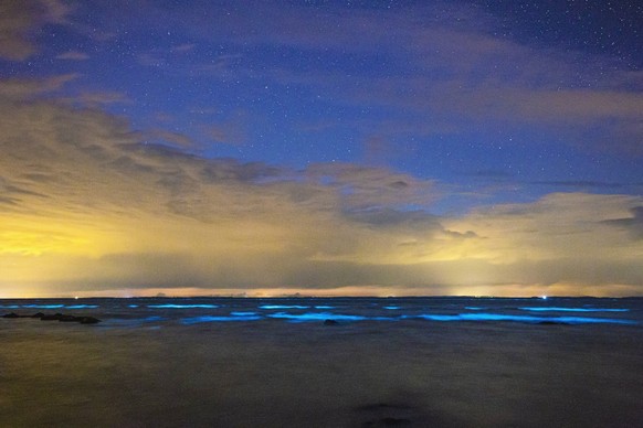 Bioluminiszierende Algen im Greifswalder Bodden GER, Bioluminiszenz, Algen, Lubmin bei Greifswald, Naturspektakel Lubmin Mecklenburg-Vorpommern Deutschland Strand *** Bioluminescent algae in the Greif ...