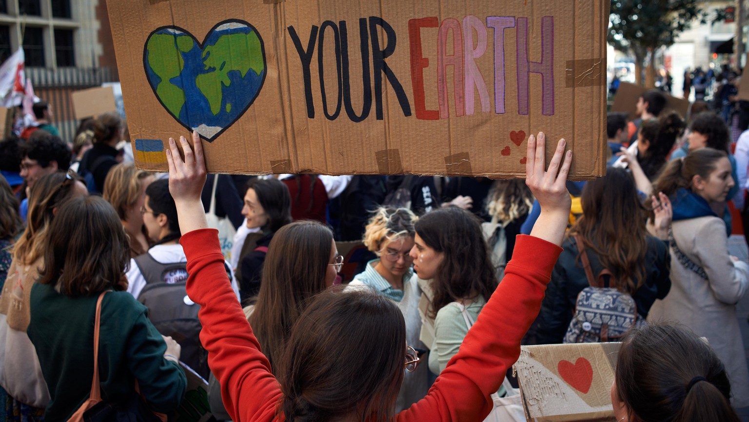 Following the call of Greta Thunberg for a World School Strike and &#039;Fridays for future&#039;, school students and students took to the streets of Toulouse to denounce the governments inaction tow ...