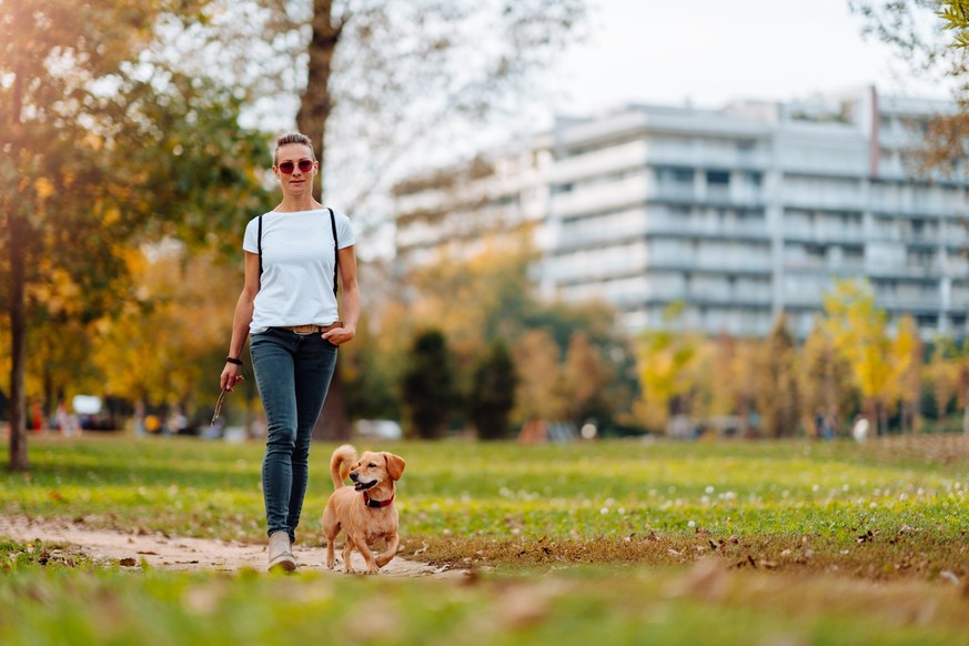 Woman wearing white t-shirt and sunglasses walking in the park with a small brown dog in autumn