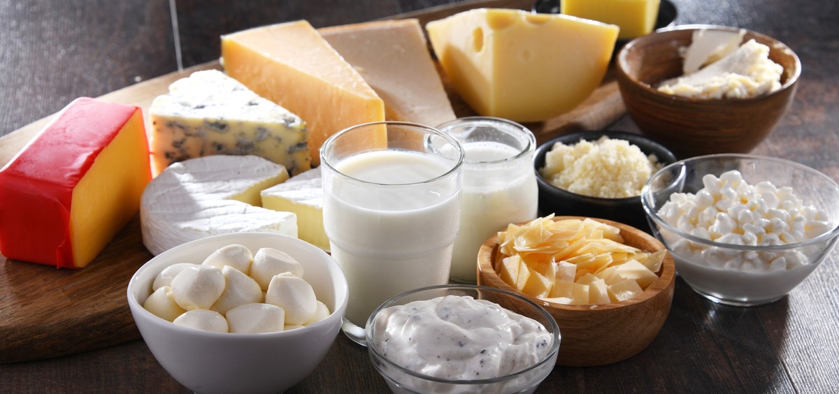 A variety of dairy products including cheese, milk and yogurt.