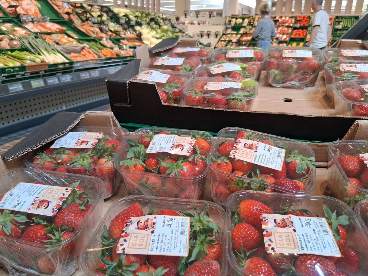 Marktkauf - Einkauf zu Zeiten von Inflation. Marktkauf - Einkauf in einem Supermarkt oder Discounter *** Marktkauf shopping in times of inflation Marktkauf shopping in a supermarket or discount store