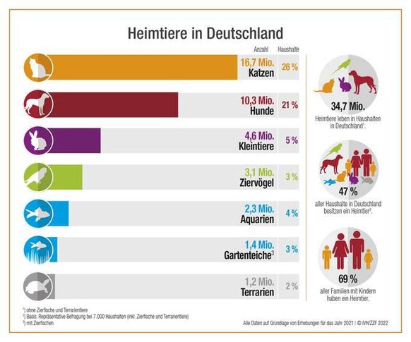 Dogs are the second most popular pet among Germans after cats. 