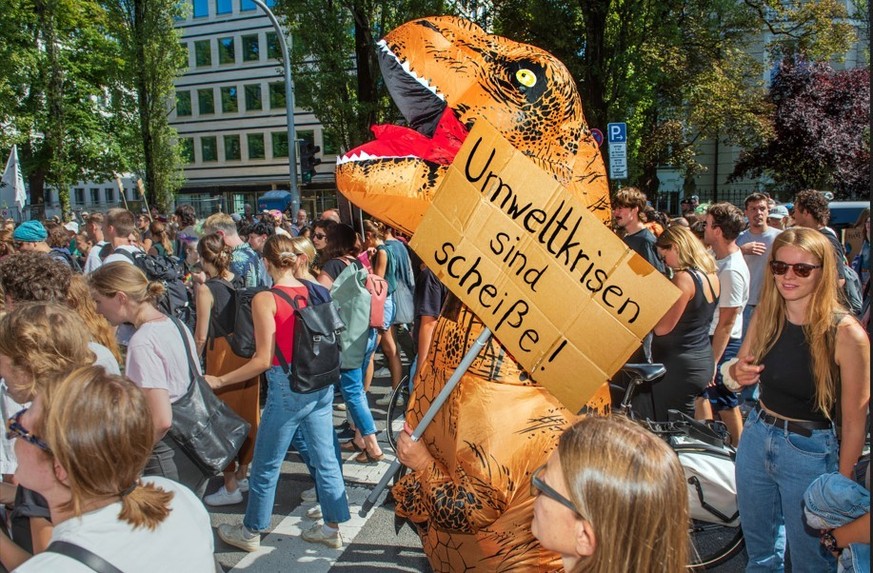Der globale Klimastreik von Fridays for Future zieht jährlich hunderttausende Menschen zum Demonstrieren auf die Straße.