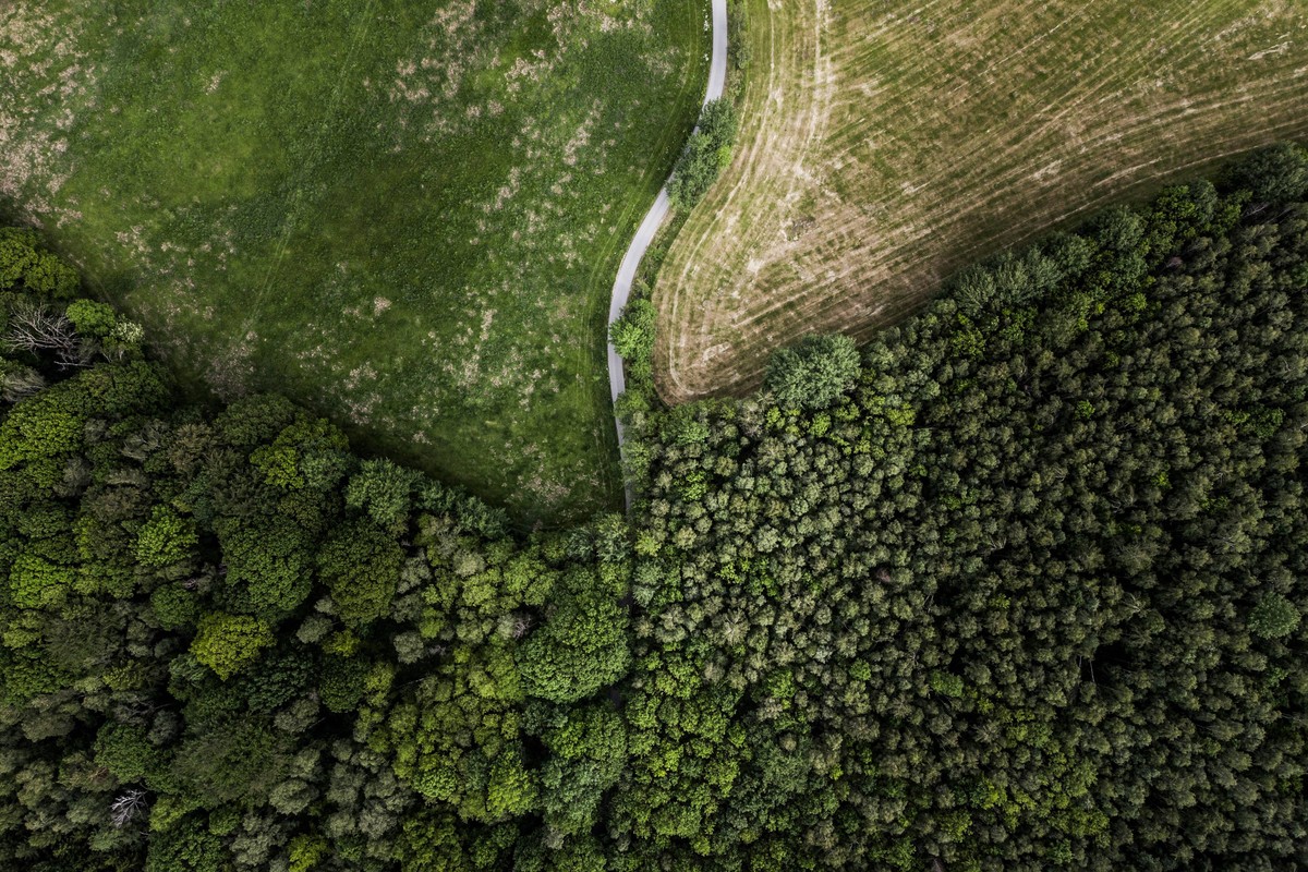 Eine Strasse fuehrt in einen Wald an den Koenigshainer Bergen. Koenigshain, 31.05.2019. Koenigshain Deutschland *** A road leads into a forest at the Koenigshain mountains Koenigshain, 31 05 2019 Koen ...
