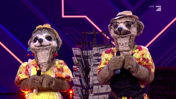 Das erste Duett bei "The Masked Singer": Frau und Herr Erdmännchen.