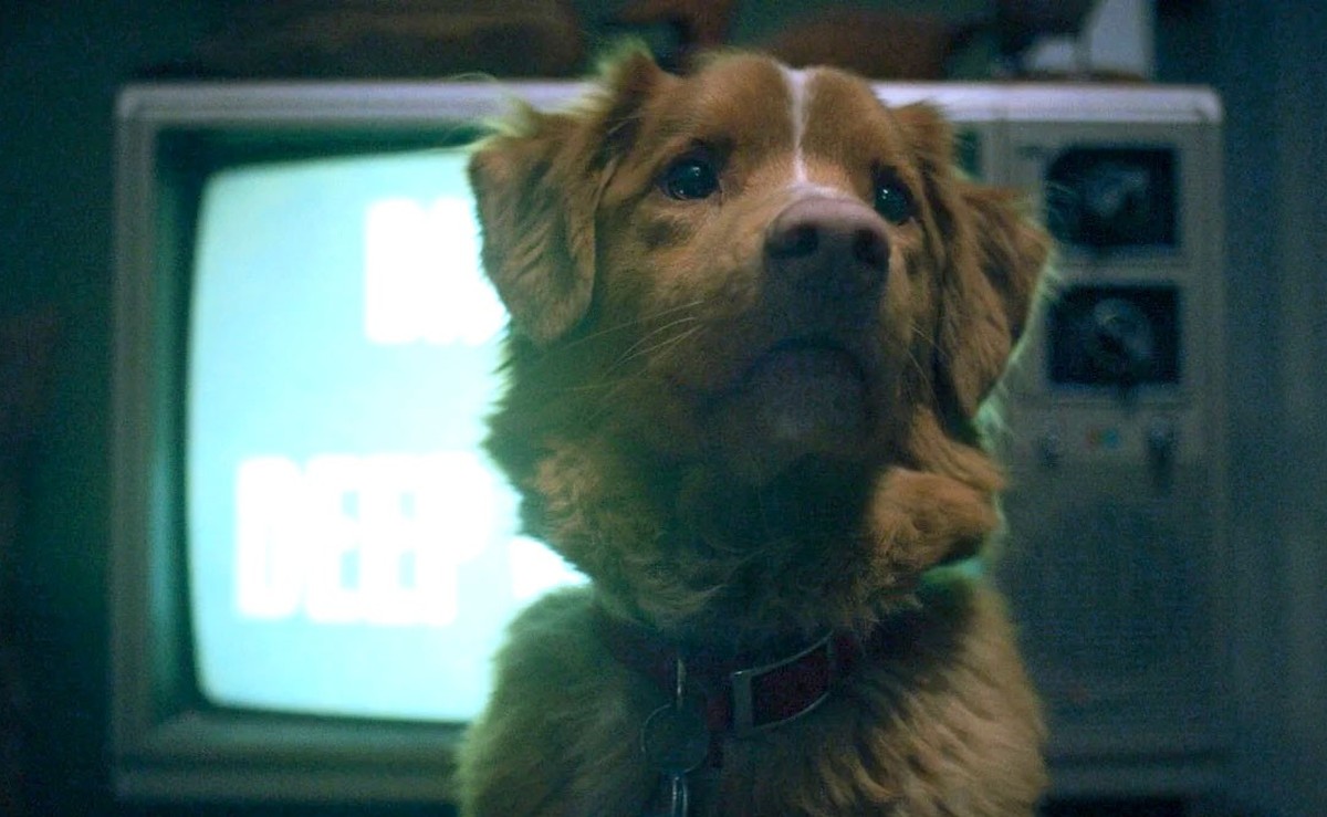 Nein, dieser Film wird doch nicht ... bitte nicht! ("Good Boy", 2025)