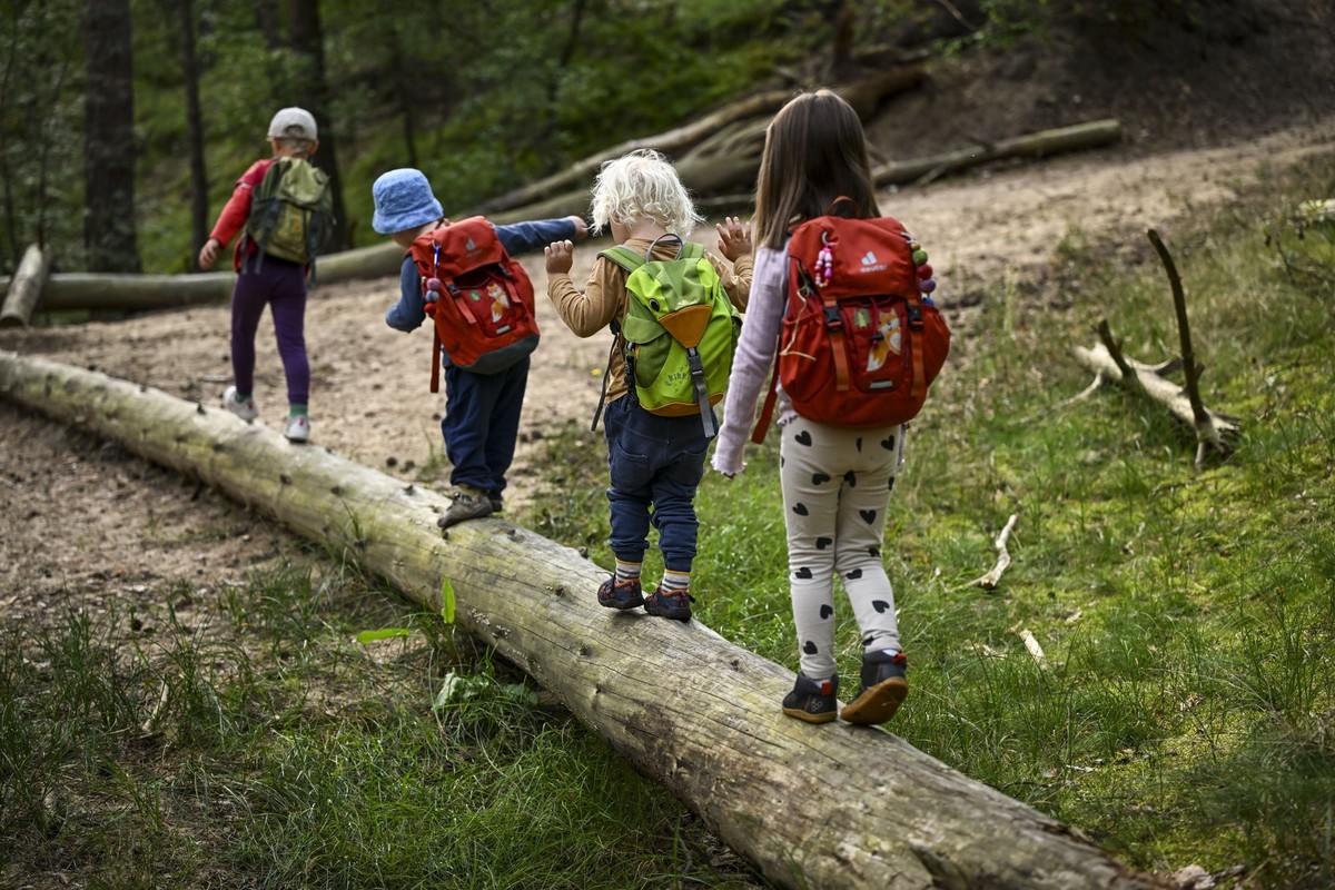 23.08.2024, Brandenburg, Falkensee: Kinder vom Waldkindergarten &quot;Die Waldzwerge&quot; gehen auf ihrem Weg in den Wald über einen umgestürzten Baum. Hier befinden sich die Kinder mit ihren Erziehe ...
