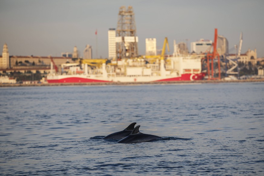 Dolphins swim in the Bosphorus with a low boat traffic in the natural strait of Istanbul on April 19 2020. Turkey has confirmed 4,674 deaths and 90,980 positive cases of the coronavirus infection in t ...