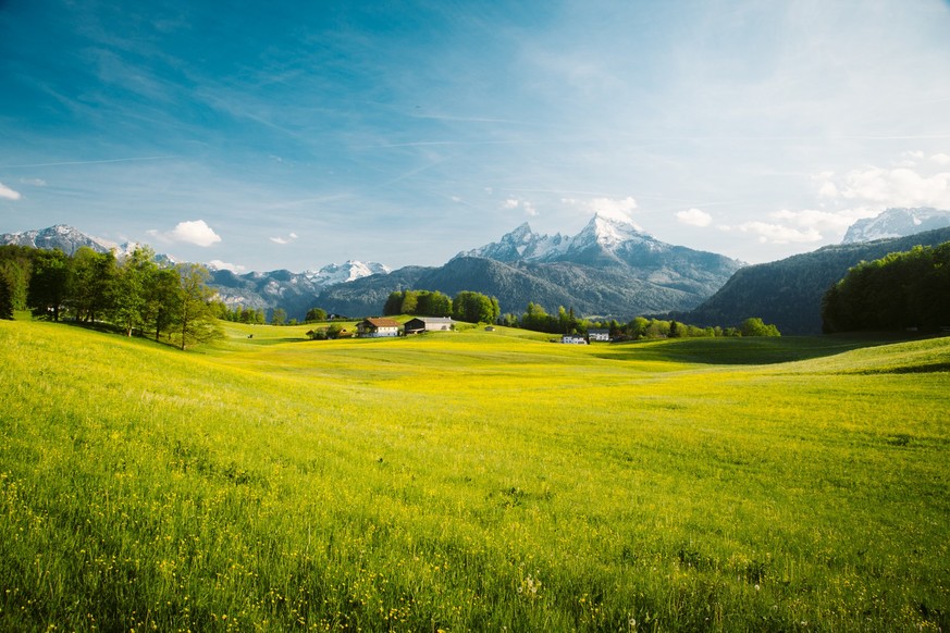 Beautiful view of idyllic alpine mountain scenery with blooming meadows and snowcapped mountain peaks on a beautiful sunny day with blue sky in springtime