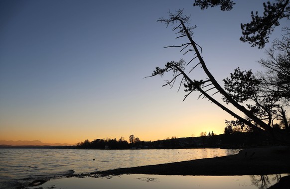 Tutzing, Bayern, Deutschland 14. Februar 2023: Ein Wintertag mit sundown in Tutzing Landkreis Starnberg. Hier der Blick von der Brahmspromenade auf den Starnberger See den bekannten schiefen Baum Palm ...