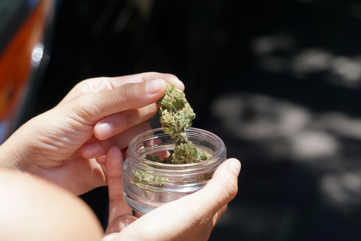 Cannabis-Freigabe: Bis zu 50 Gramm Cannabis dürfen Clubmitglieder laut dem neuen Cannabis-Gesetz (CannG) monatlich bei Cannabis-Social-Clubs Abholen