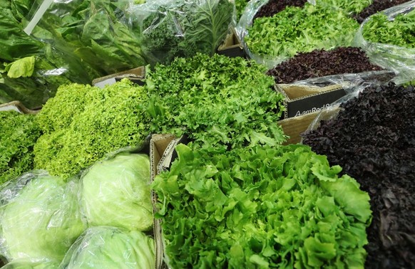 BERLIN, GERMANY - FEBRUARY 08: Different kinds of lettuce lie on display at a Spanish producer's stand at the Fruit Logistica agricultural trade fair on February 8, 2017 in Berlin, Germany. The fair,  ...